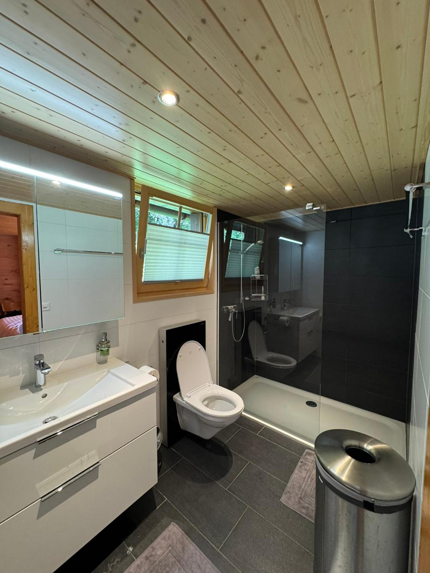 Chalet Berken Ernen Εξωτερικό φωτογραφία